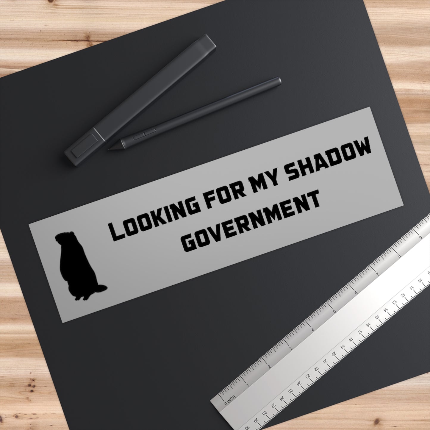 Looking For My Shadow Government Sticker